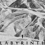 Zdeněk Škoda – Labyrinth