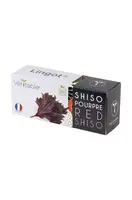 Semenná vložka Veritable Perila červená 13 x 4 x 5 cm