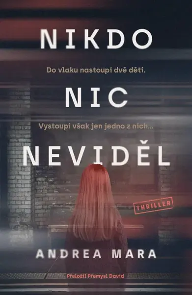 Nikdo nic neviděl (poškozená) - Andrea Mara
