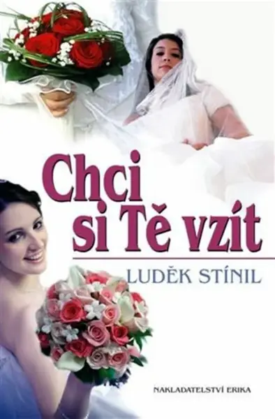 Chci si tě vzít (poškozená) - Luděk Stínil