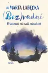 (Bez)vadní 2 – Připomeň mi naši minulost - Marta Łabęcka - e-kniha