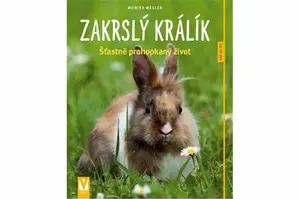 Zakrslý králík - Monika Weglerová