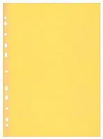 Herlitz - Prospektový obal A4/100 kusů