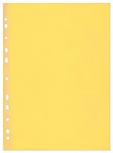 Herlitz - Prospektový obal A4/100 kusů