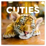 Mláďata 2026 - nástěnný kalendář