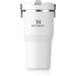 Stanley IceFlow™ Flip Straw Tumbler fľaša na vodu z nehrdzavejúcej ocele Frost 600 ml