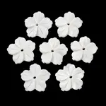 Natural Freshwater Shell Carved Pendants