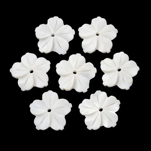 Natural Freshwater Shell Carved Pendants