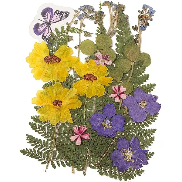 Pressed Dried Flowers