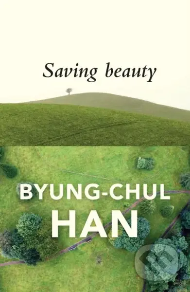 Saving Beauty - Byung-Chul Han - kniha z kategorie Humanitní a společenské vědy