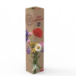 LEROS PANI UČITEĽKE
