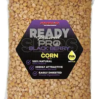 Starbaits kukuřice ready seeds pro blackberry - 3 kg