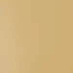 Akrylová barva Basics 118ml – 434 unbleached titanium