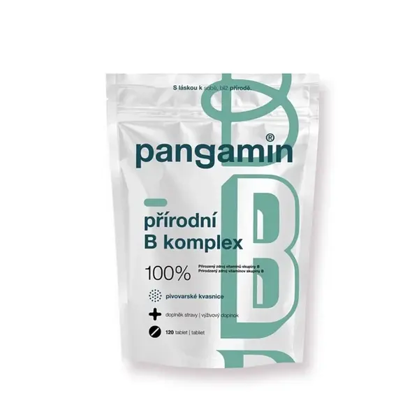 Pangamin přírodní B komplex 120 tablet