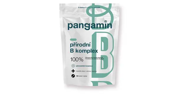 Pangamin Přírodní B Komplex Tbl.120