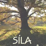 Síla stromů