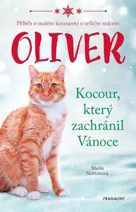 Oliver Kocour, který zachránil Vánoce