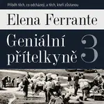 Geniální přítelkyně (3. díl)