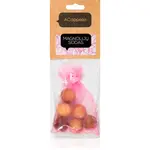 ACappella Magnolia Garden vôňa do auta 6 ks