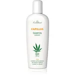 Cannaderm Capillus Seborea šampón bylinný šampón pre podráždenú pokožku hlavy 150 ml