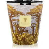 Baobab Collection Sacred Trees Cocody vonná sviečka 16 cm