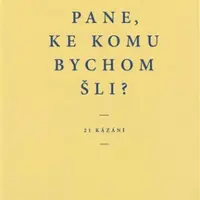 Pane, ke komu bychom šli? - Jan Štefan