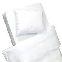 HomeDoctor Protiroztočový povlak Pristine na polštář 50 x 70 cm