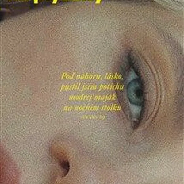 Automat na plyšáky - David Voda
