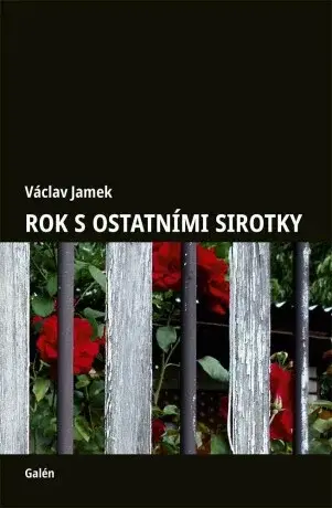 Rok s ostatními sirotky - Václav Jamek