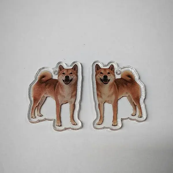 Printed Acrylic Pendants