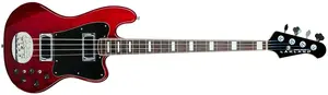 Lakland 2008 Decade Skyline Active