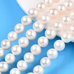Natural Cultured Freshwater Pearl Beads Strands