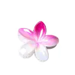 Resin Claw Hair Clips