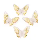 Transparent Acrylic Beads