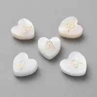 5Pcs Natural White Shell Beads