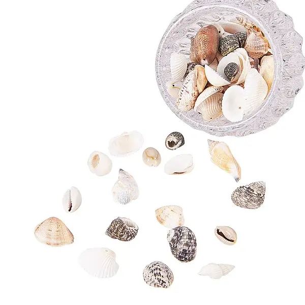Mixed Natural Shell Bead Sets