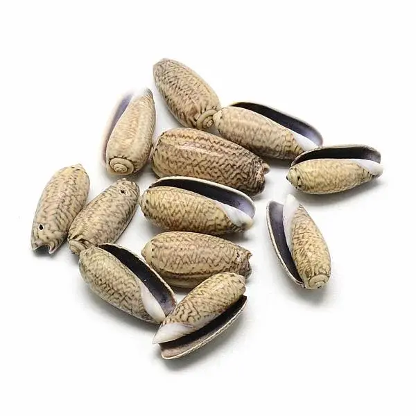 Spiral Shell Pendants