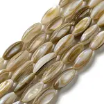 Natural Freshwater Shell Beads Strands