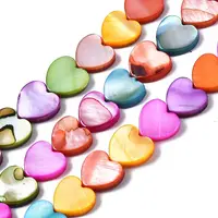 Natural Freshwater Shell Beads Strands