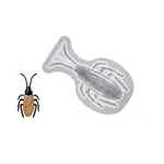 DIY Realistic Insect Ornament Silicone Molds