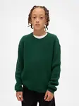 GAP Children's Sweater CashSoft - Boys