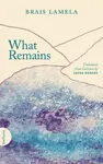 What Remains - Brais Lamela