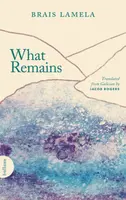 What Remains - Brais Lamela