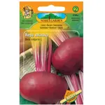 Repa šalátová plochá Kahira