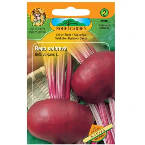 Repa šalátová plochá Kahira