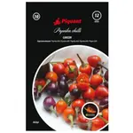 Paprička chilli Cancun