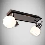 Stropné bodové svietidlo Epos G9 2L LS2