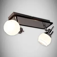 Stropné bodové svietidlo Epos G9 2L LS2