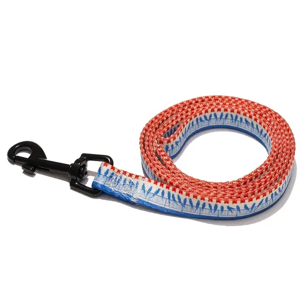 Explorer dog Vodítko Ptáci S - 120x1,5 cm