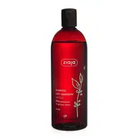 Ziaja Family Šampon proti lupům kopřiva 500 ml